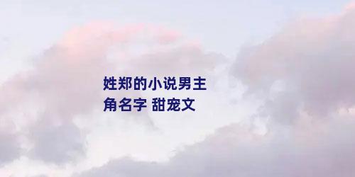 姓郑的小说男主角名字 甜宠文